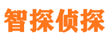 文安外遇调查取证